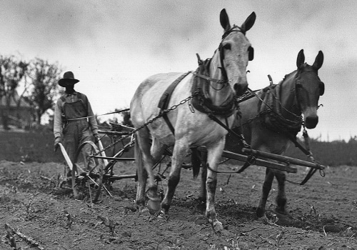 The Annexation of Austin into the Republic of Texas